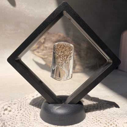 Etched Garden Quartz Specimen - Tree