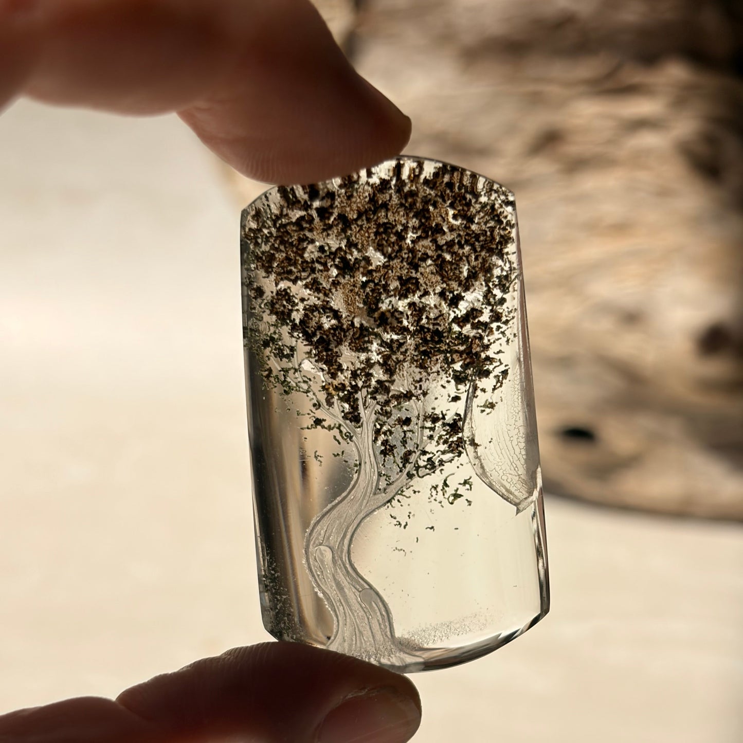 Etched Garden Quartz Specimen - Tree