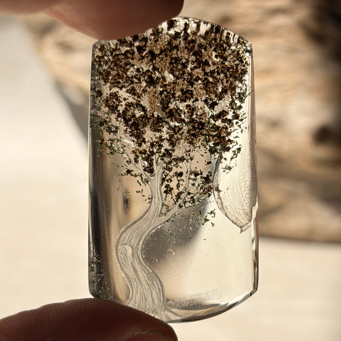 Etched Garden Quartz Specimen - Tree