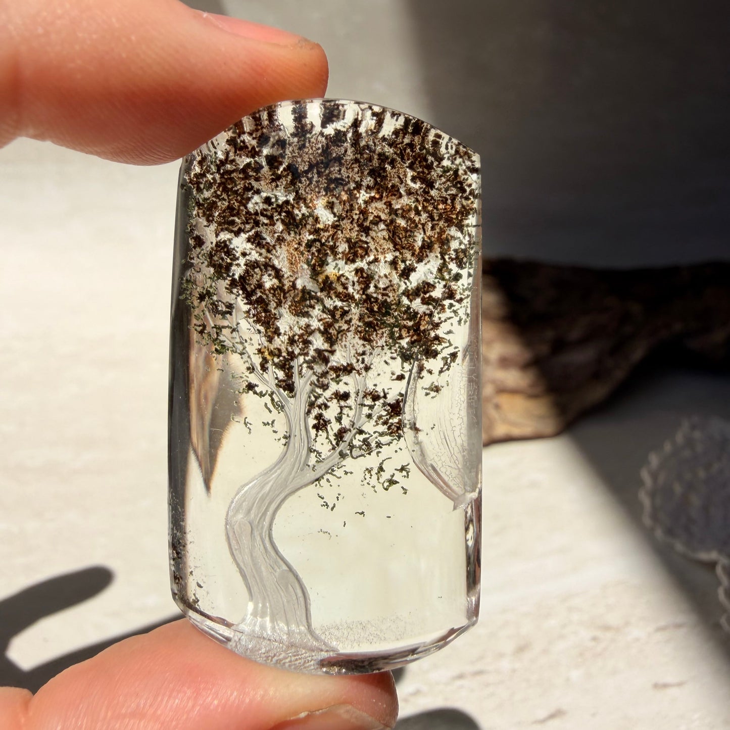 Etched Garden Quartz Specimen - Tree