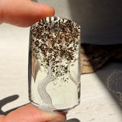 Etched Garden Quartz Specimen - Tree