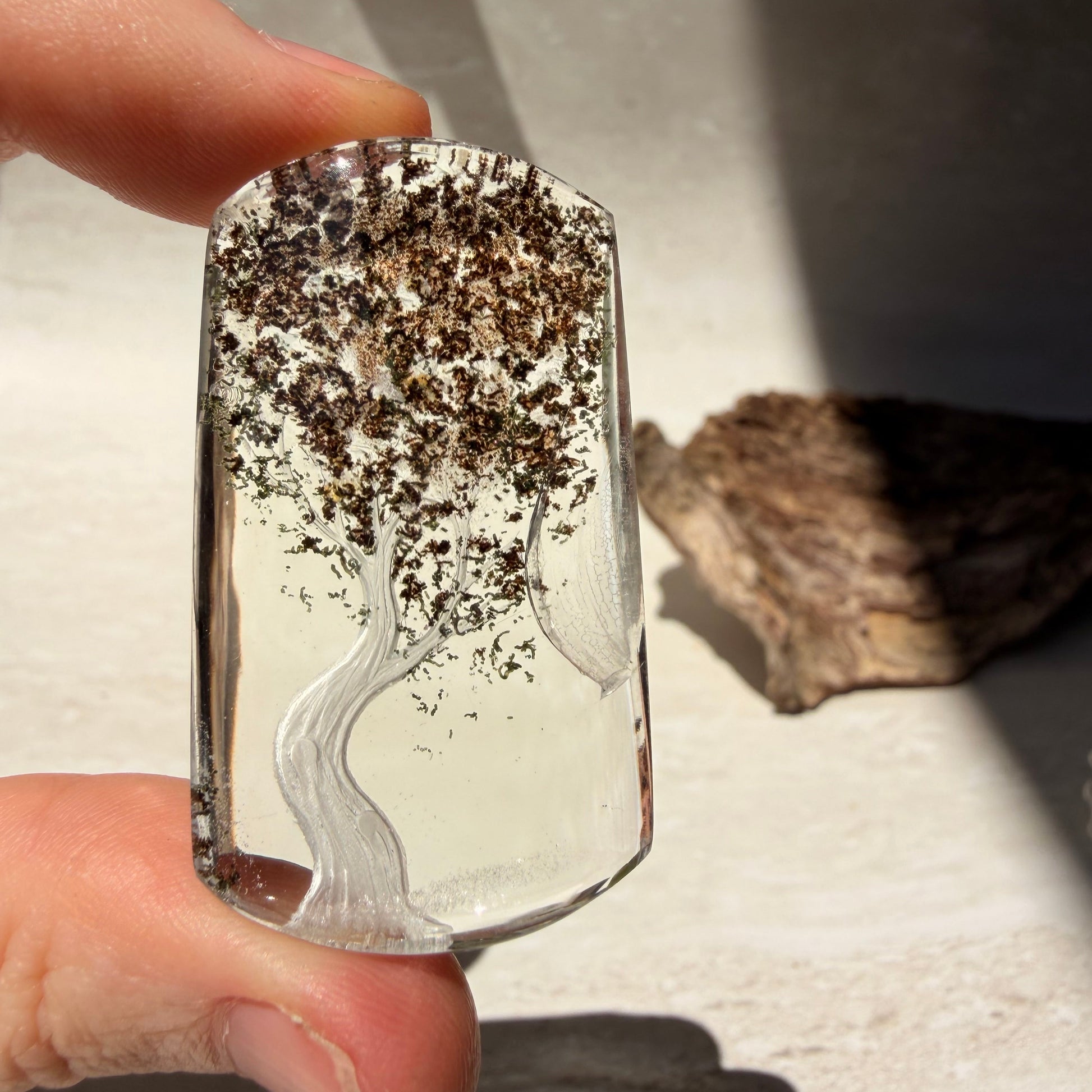 A hand holds a collectors piece of garden quartz with laser etching featuring a tree with dark brown and black leafy branches. The background is a neutral, light-colored textured surface with soft shadows.
