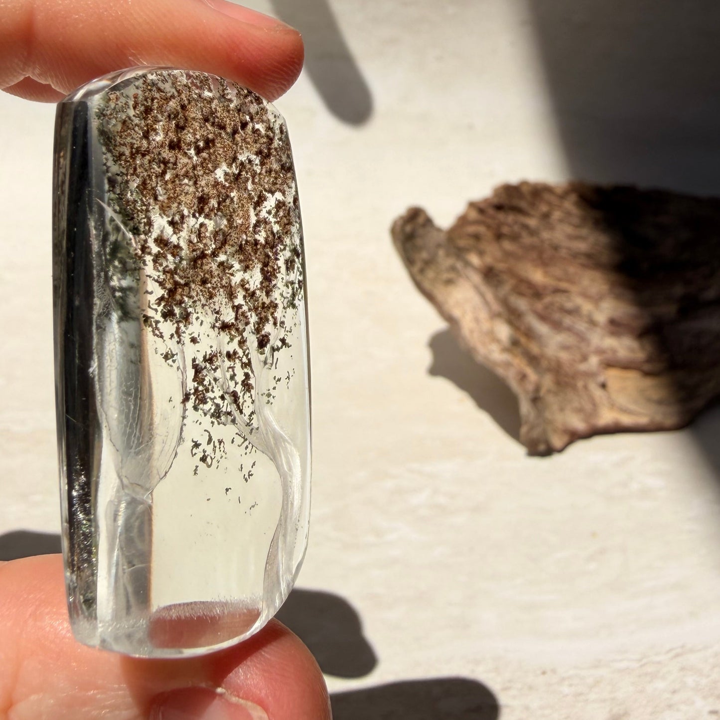Etched Garden Quartz Specimen - Tree