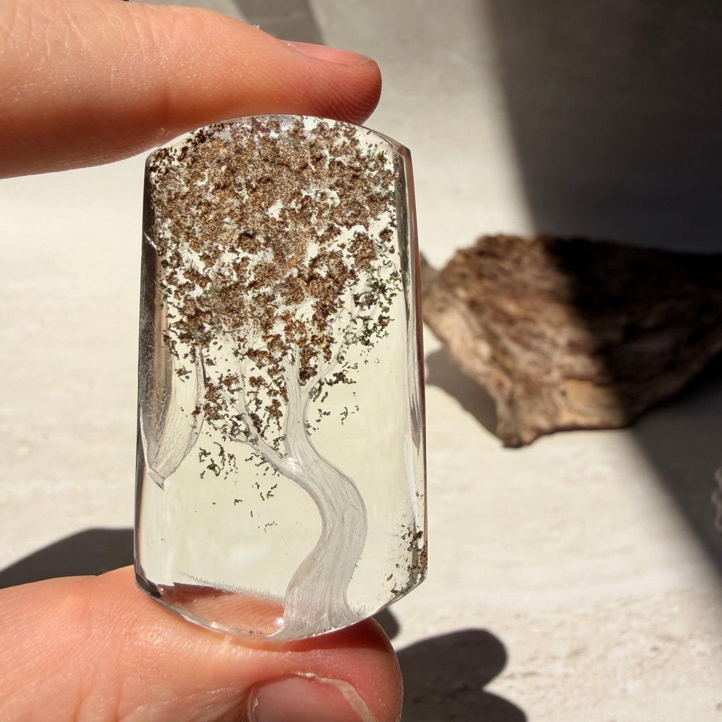Etched Garden Quartz Specimen - Tree