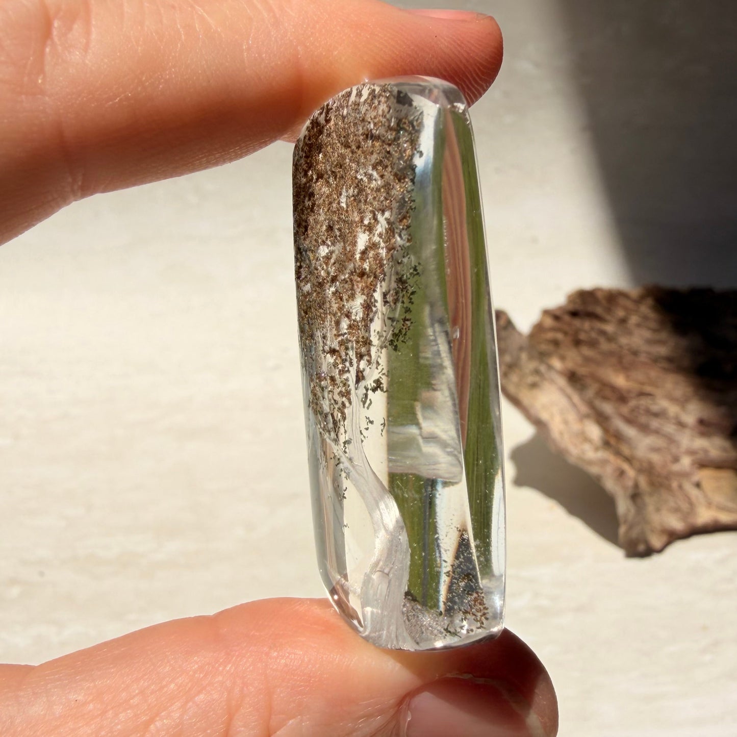 Etched Garden Quartz Specimen - Tree