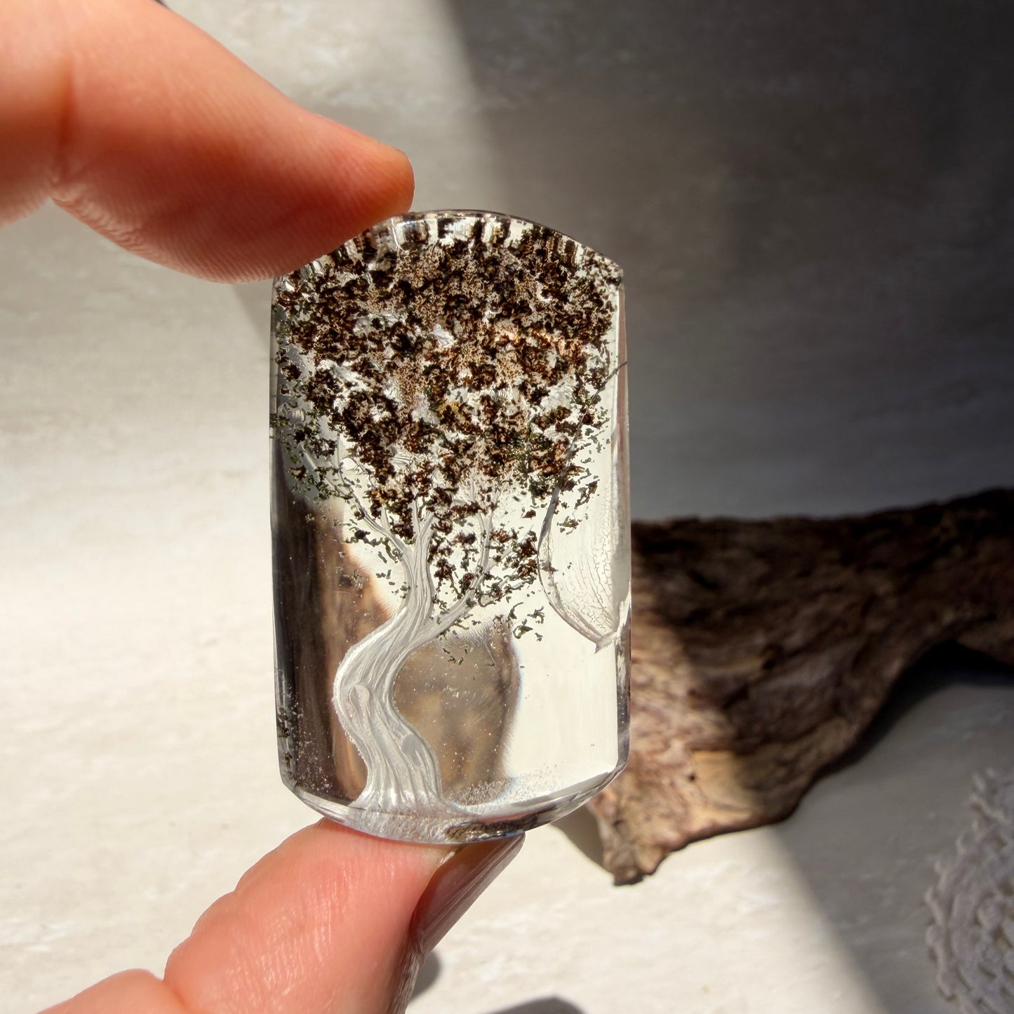 Etched Garden Quartz Specimen - Tree