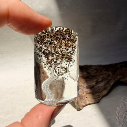 Etched Garden Quartz Specimen - Tree
