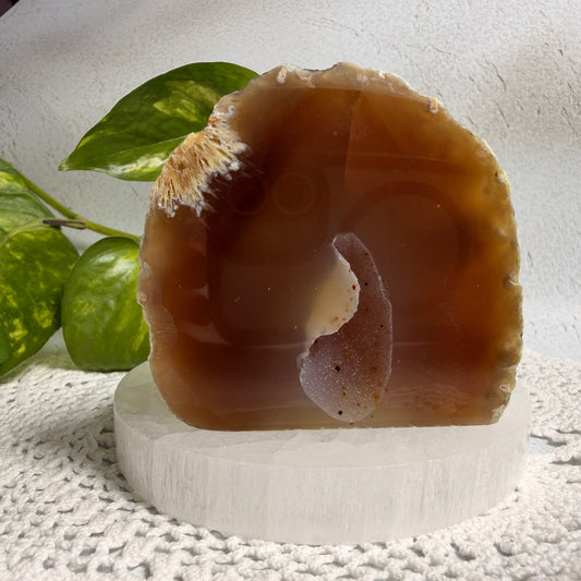 Druzy Agate Free Form