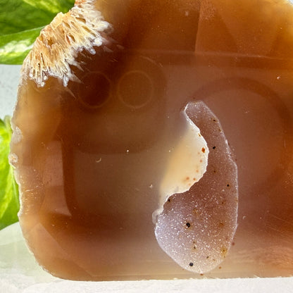 Druzy Agate Free Form