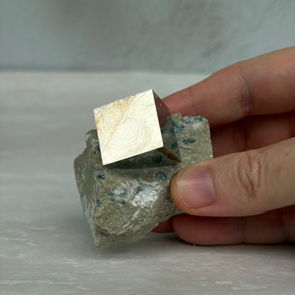 Spanish Pyrite on Matrix #1