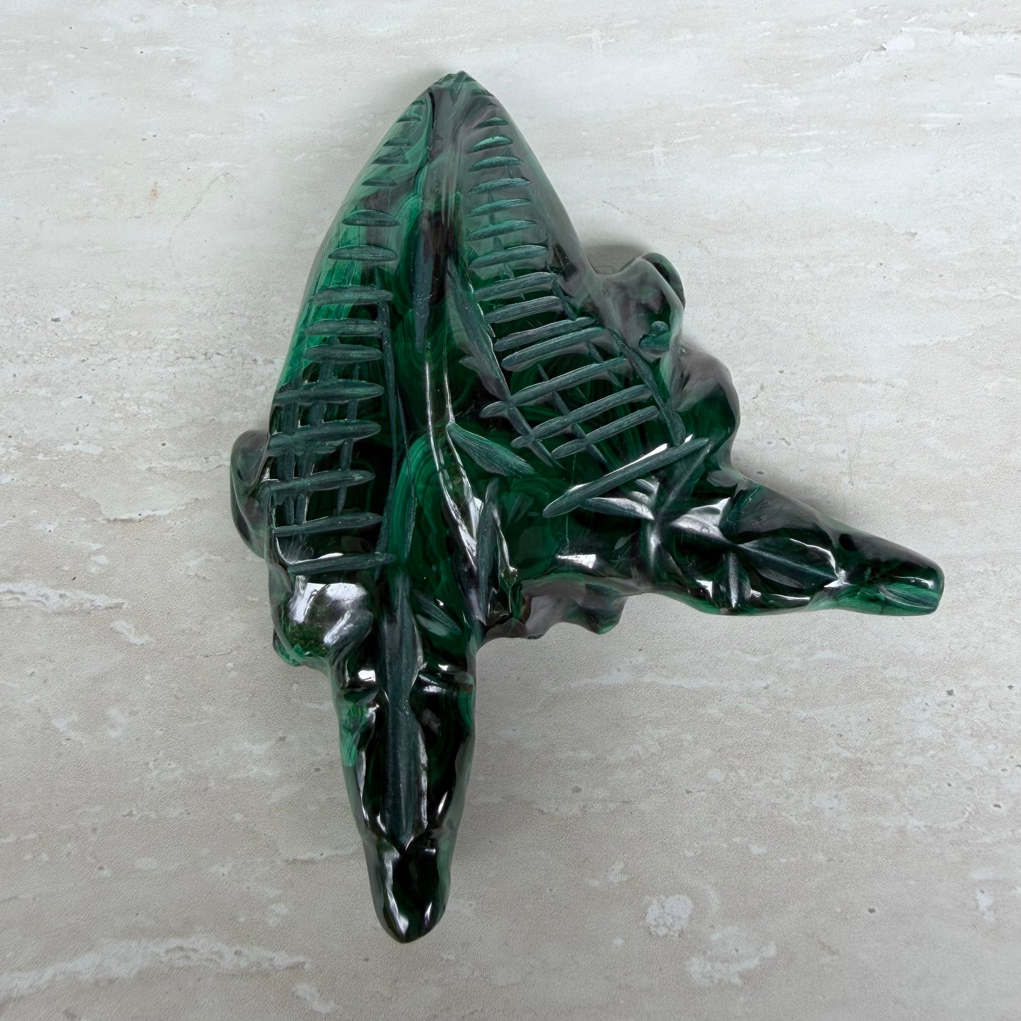 Malachite Twin Crocodile