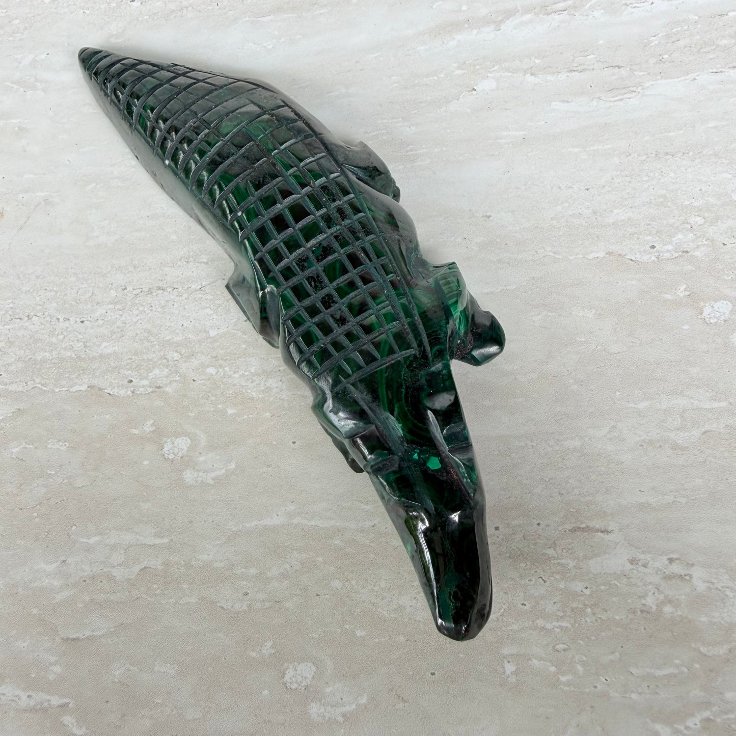 Malachite Crocodile