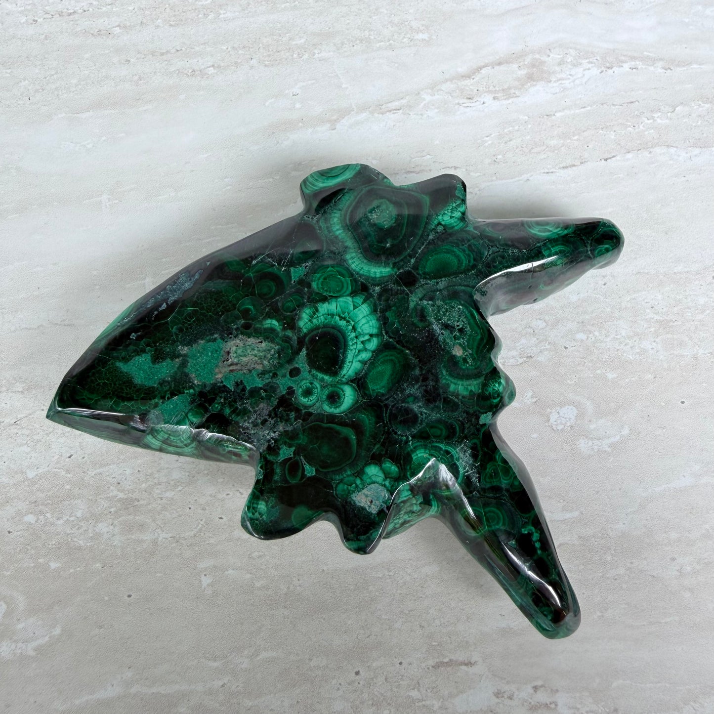 Malachite Twin Crocodile
