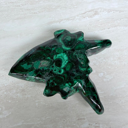Malachite Twin Crocodile