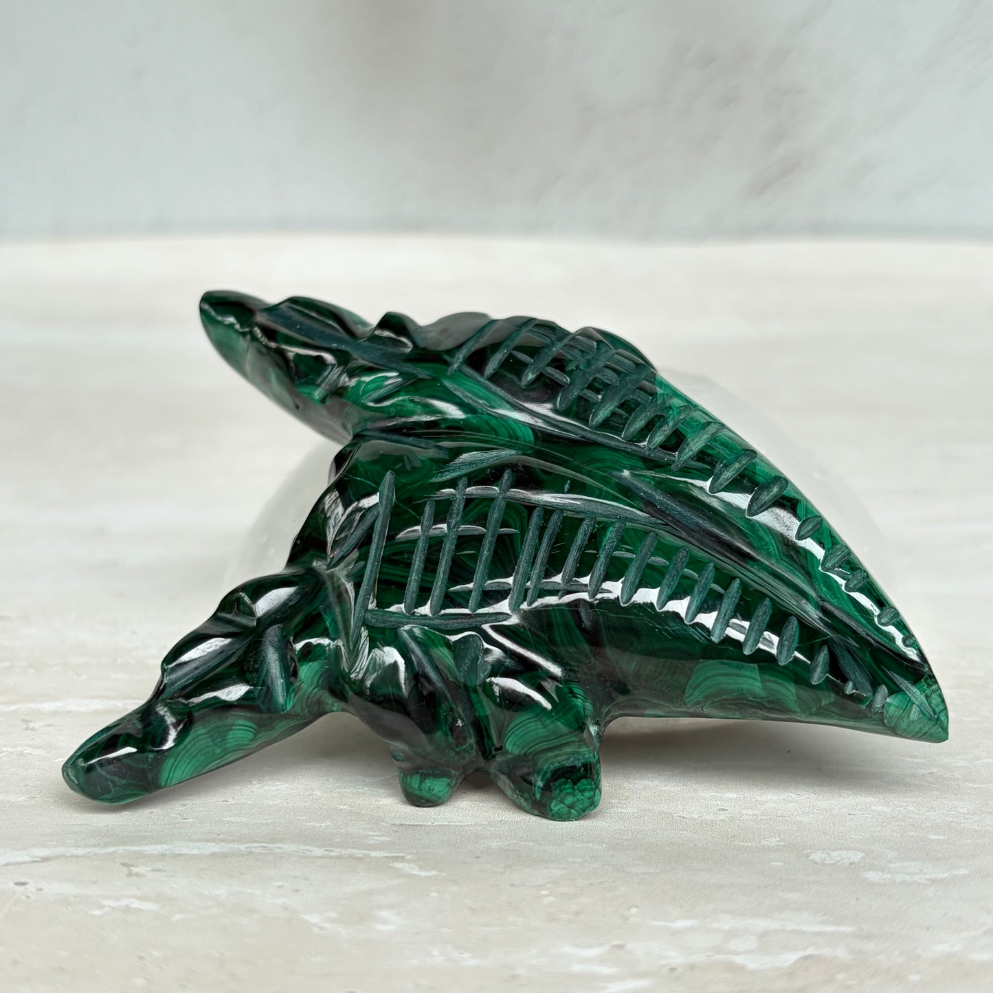 Malachite Twin Crocodile
