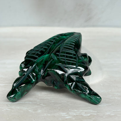 Malachite Twin Crocodile