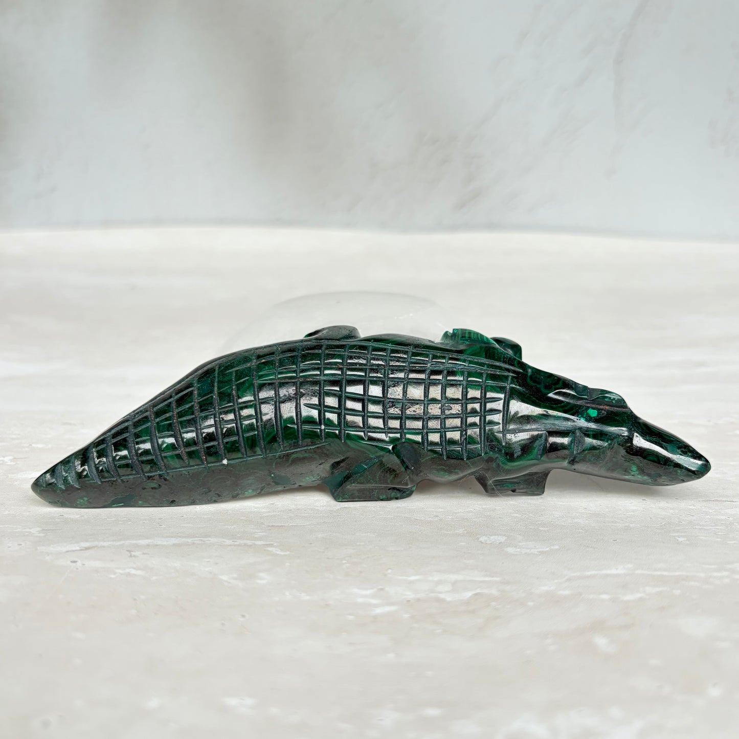 Malachite Crocodile