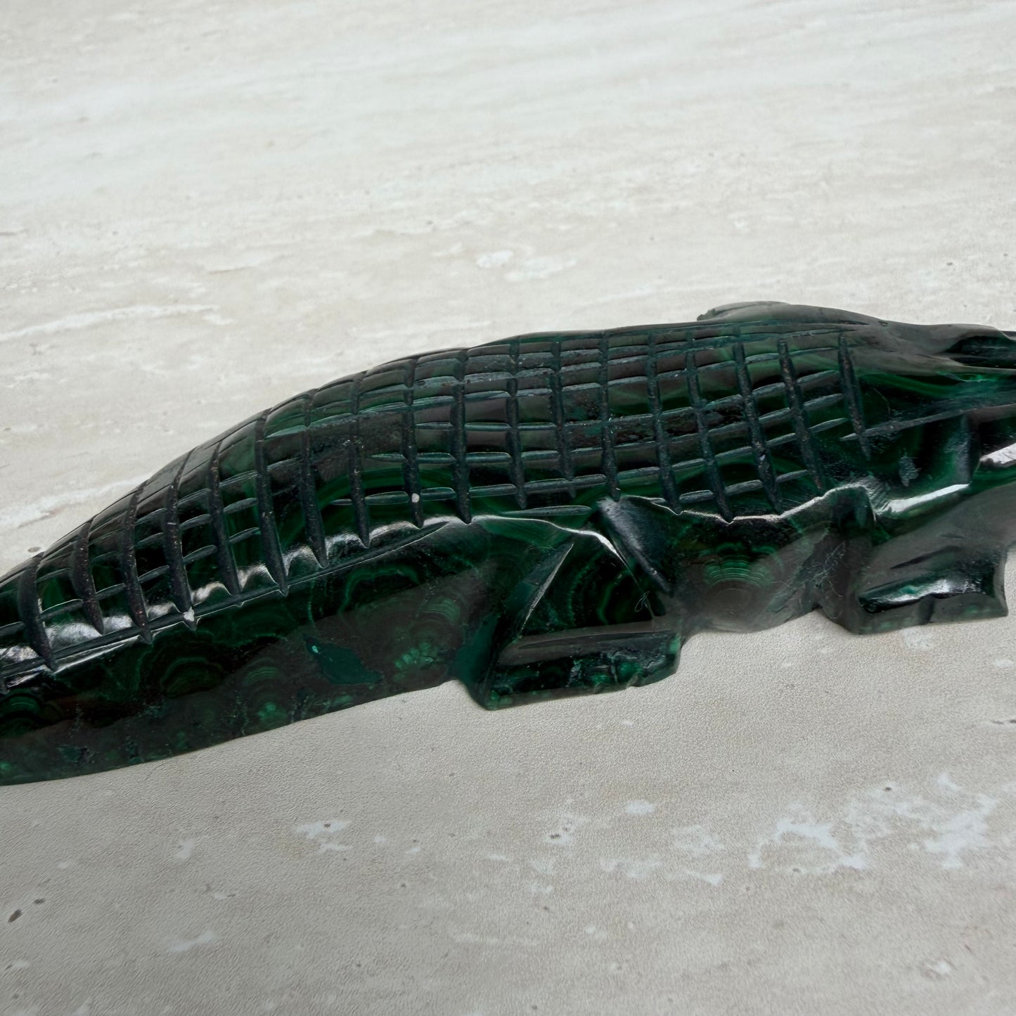 Malachite Crocodile