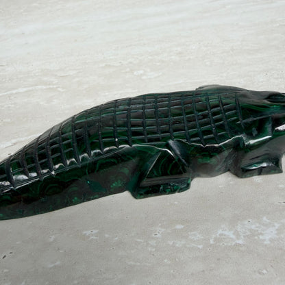Malachite Crocodile