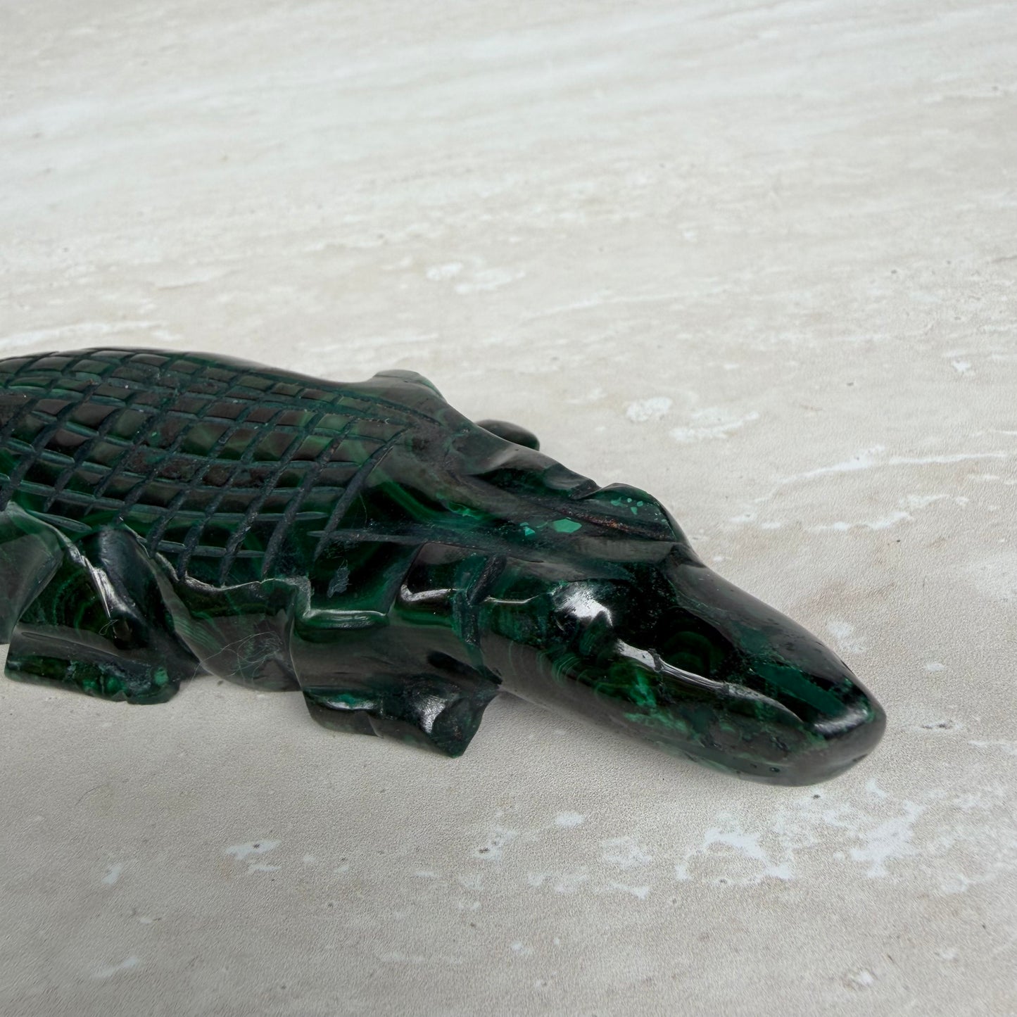Malachite Crocodile
