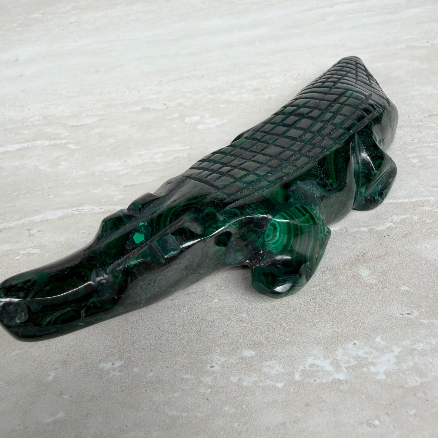 Malachite Crocodile