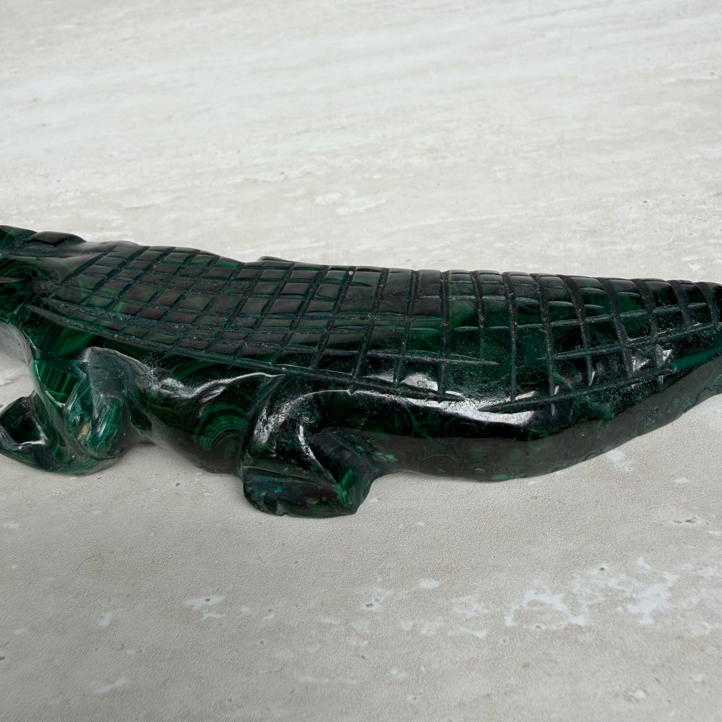 Malachite Crocodile