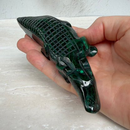 Malachite Crocodile