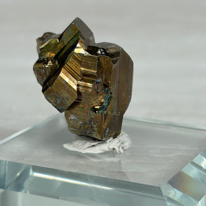 Vera Cruz Pyrite #1