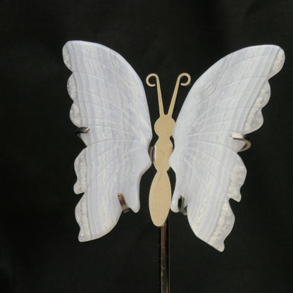 Blue Lace Agate Butterfly Wings