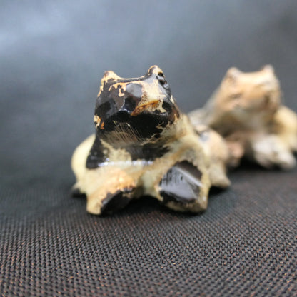 Picture Japser Frogs