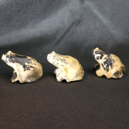 Picture Japser Frogs