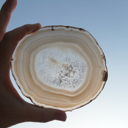 Agate Slices Natural - Large