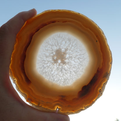 Agate Slices Natural - Large