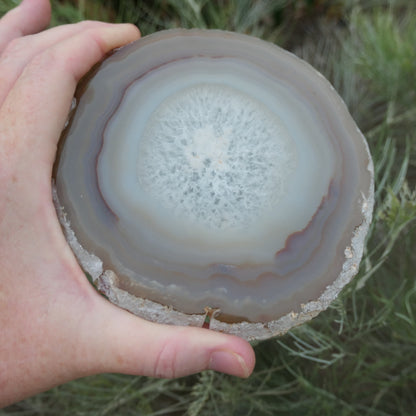 Agate Slices Natural - Large