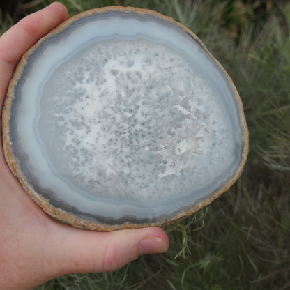 Agate Slices Natural - Large