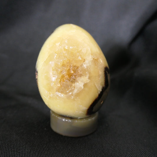Septarian Egg - Small 01