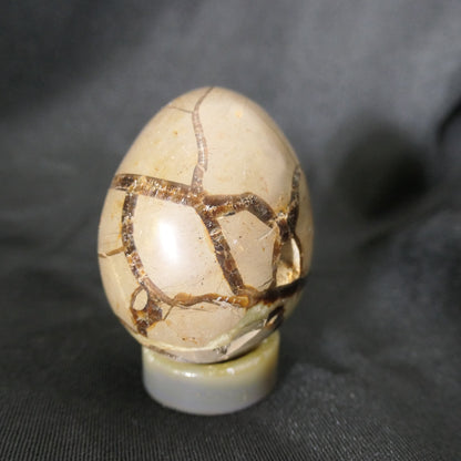 Septarian Egg - Small 01