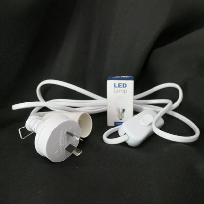 Lamp Lead and LED Bulb Combo