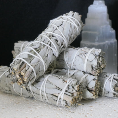 White Sage - Mini