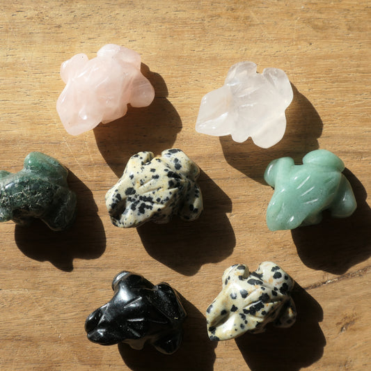 Frog Carvings