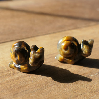 Snail Carvings