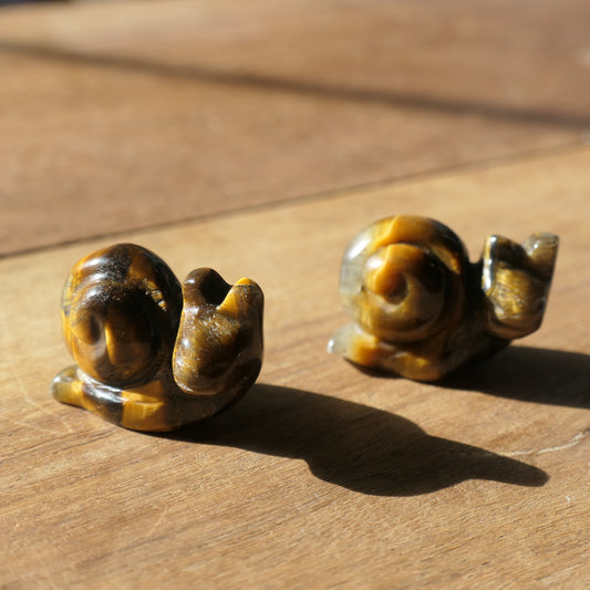 Snail Carvings