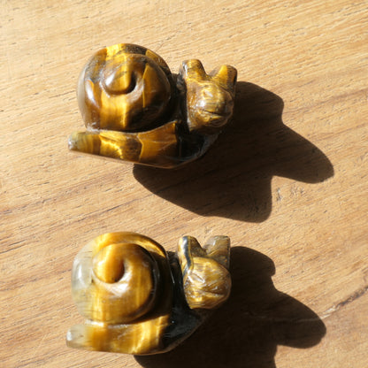 Snail Carvings