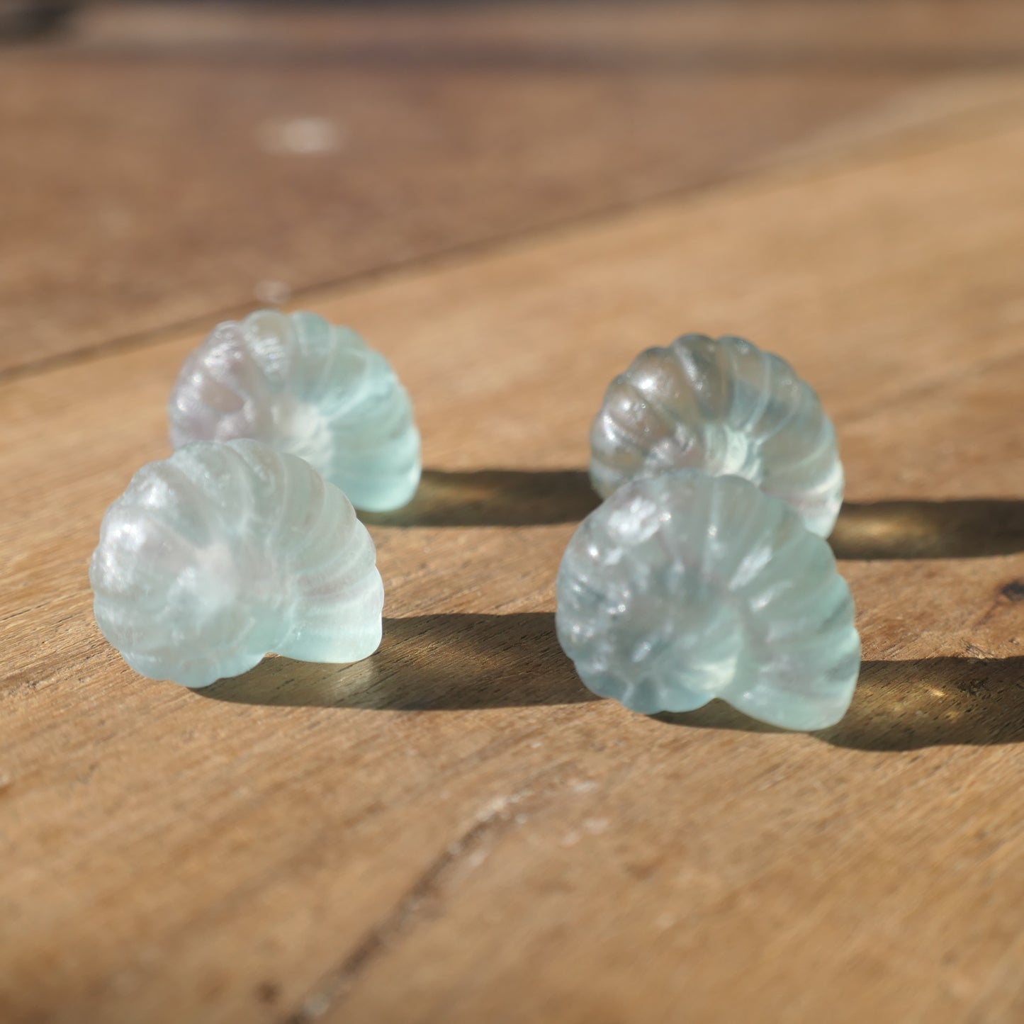 Fluorite Nautilus Shell - mini