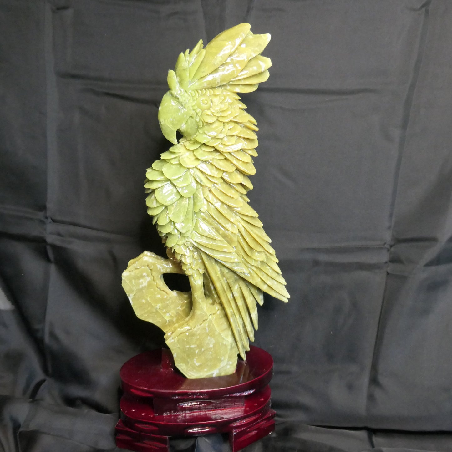Chinese Jade Cockatoo