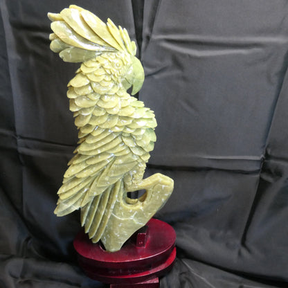 Chinese Jade Cockatoo
