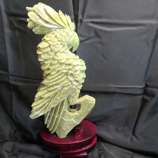 Chinese Jade Cockatoo
