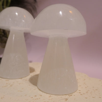 Selenite Mushroom Carving
