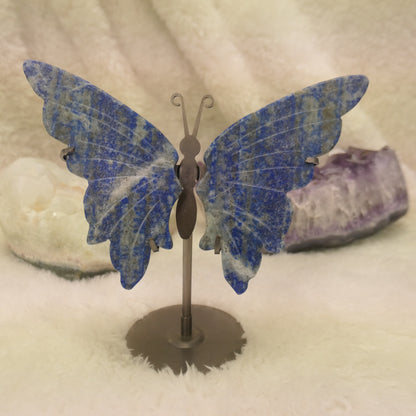 Sodalite Butterfly Wings on Stand