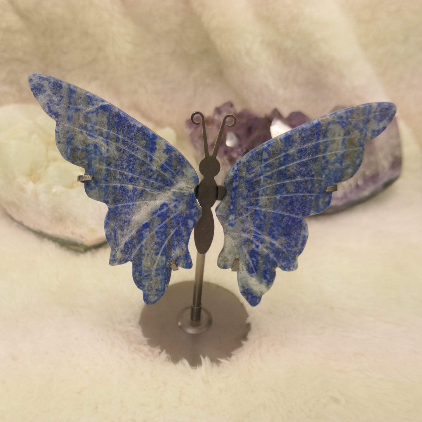 Sodalite Butterfly Wings on Stand